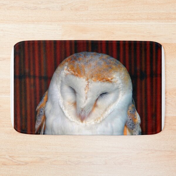 Item preview, Barn Owl Tyto Alba Bird Of Prey designed and sold by AndyEvansPhotos.