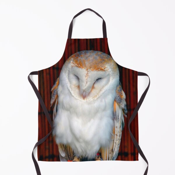 Item preview, Barn Owl Tyto Alba Bird Of Prey designed and sold by AndyEvansPhotos.