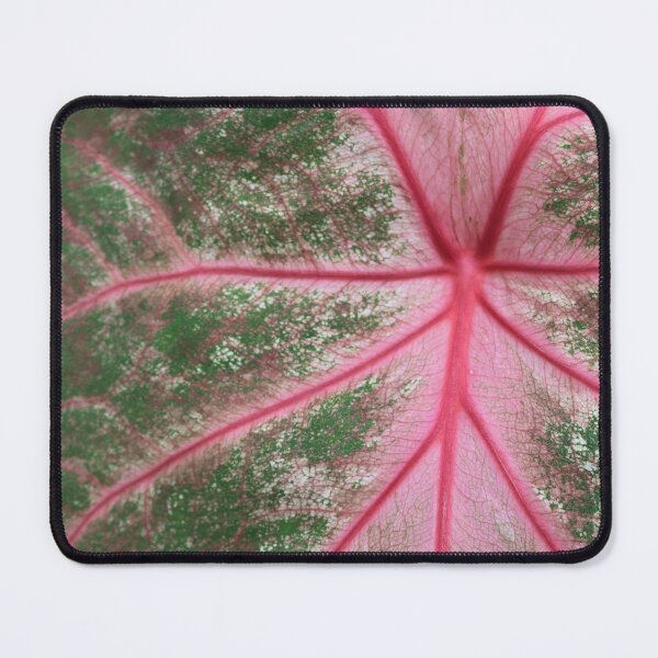 Item preview, Art by Mike Photography Photo Botany Leaves Nature Photography Colorful designed and sold by allartbymike.