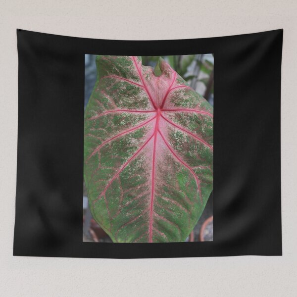 Item preview, Art by Mike Photography Photo Botany Leaves Nature Photography Colorful designed and sold by allartbymike.