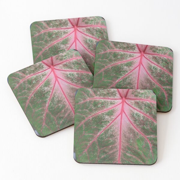 Item preview, Art by Mike Photography Photo Botany Leaves Nature Photography Colorful designed and sold by allartbymike.
