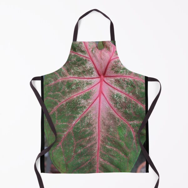 Item preview, Art by Mike Photography Photo Botany Leaves Nature Photography Colorful designed and sold by allartbymike.