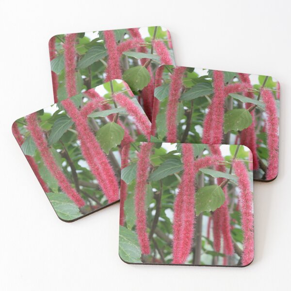 Item preview, Art by Mike Photography Photo Botany Leaves Nature Photography Colorful designed and sold by allartbymike.