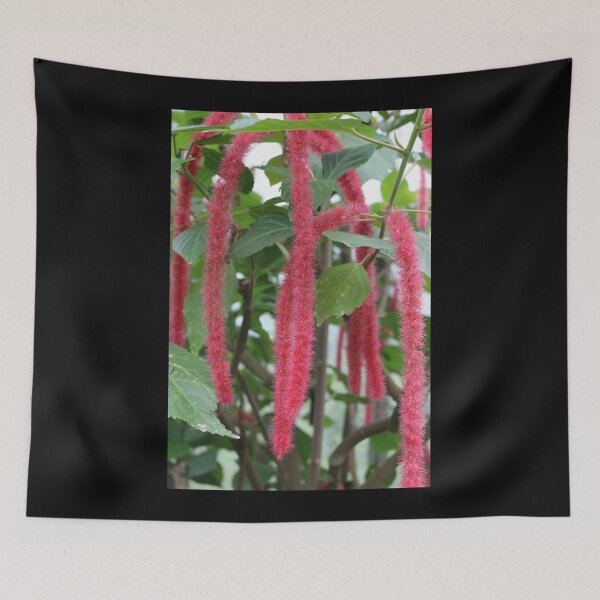 Item preview, Art by Mike Photography Photo Botany Leaves Nature Photography Colorful designed and sold by allartbymike.