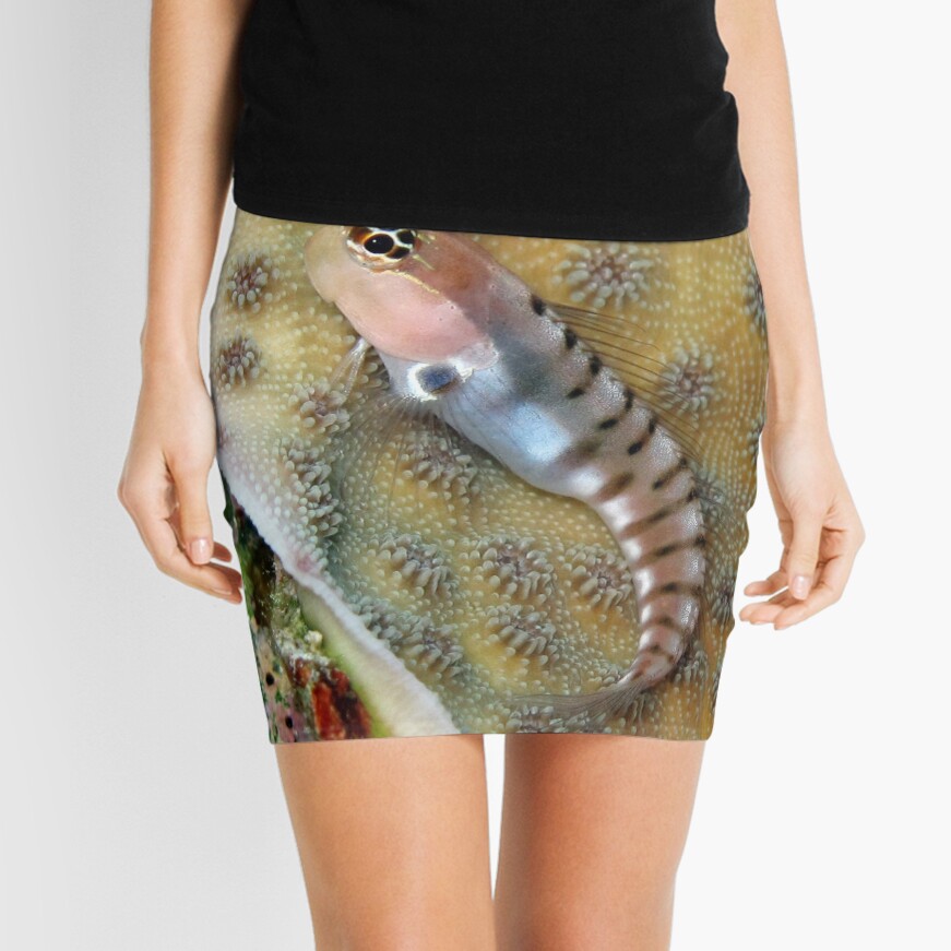 Tiger Blenny Mini Skirt