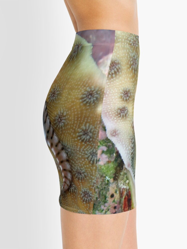 Alternate view of Tiger Blenny Mini Skirt