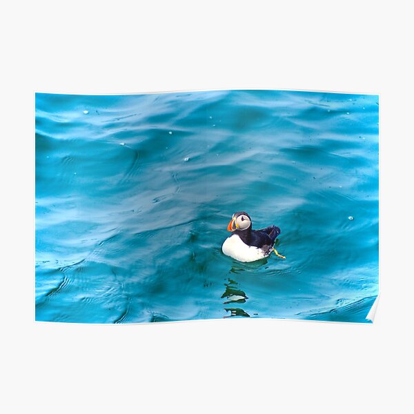 HAPPY AT SEA Poster