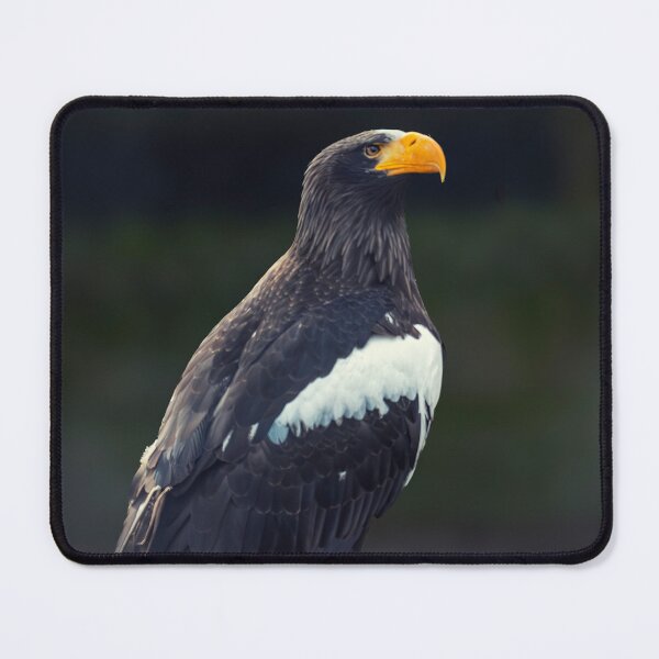 Item preview, Stellars Sea Eagle  designed and sold by Darren Wilkes.