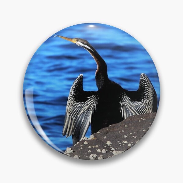 Item preview, Australian Darter Perched by the Water designed and sold by Aure50.