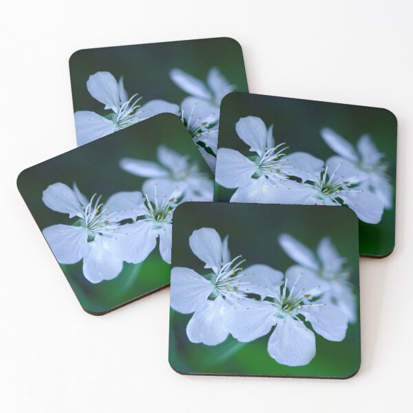 Item preview, Spring blossom on cherry tree designed and sold by olena2552.