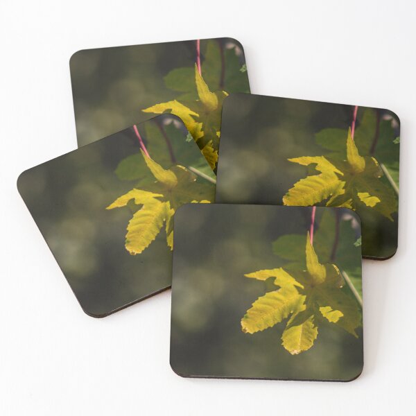 Item preview, Bright Yellow Leaf designed and sold by Geoff Treagus.
