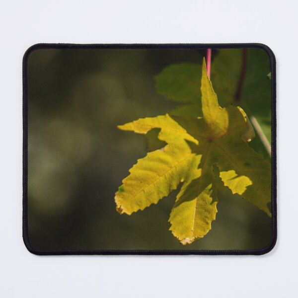 Item preview, Bright Yellow Leaf designed and sold by Geoff Treagus.