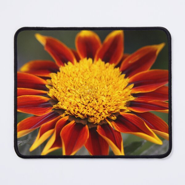Item preview, Fire Hot designed and sold by coffeebean.