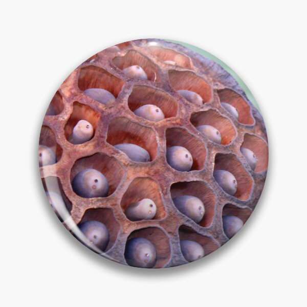 Item preview, Lotus Seedhead designed and sold by coffeebean.