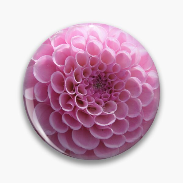 Item preview, Scalloped Pink designed and sold by coffeebean.