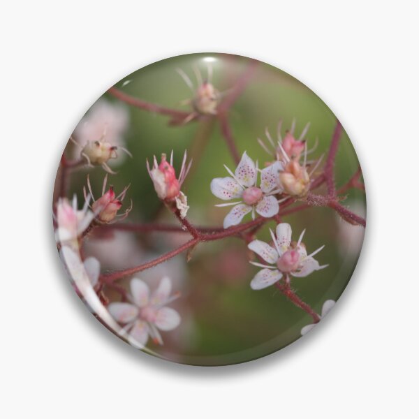 Item preview, Dainty designed and sold by coffeebean.