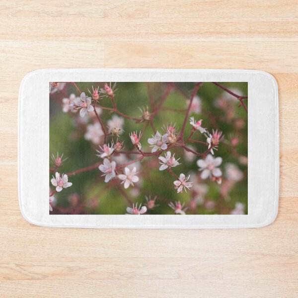 Item preview, Dainty designed and sold by coffeebean.