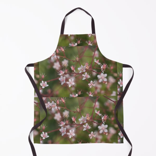 Item preview, Dainty designed and sold by coffeebean.
