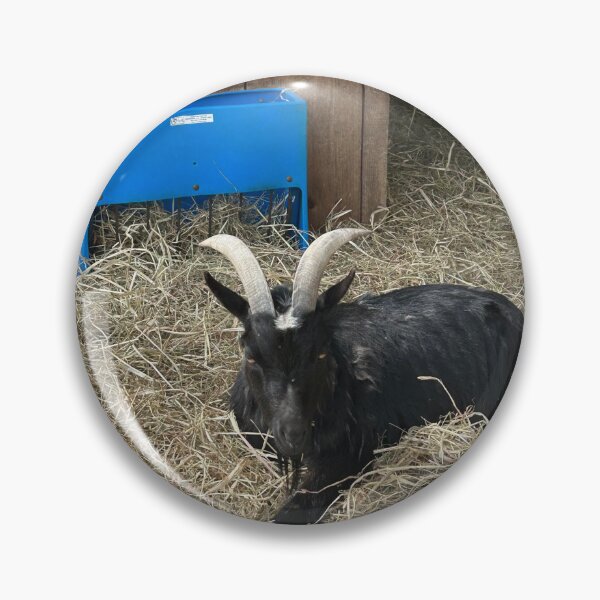 Item preview, Jinks the Goat designed and sold by SamiC06.