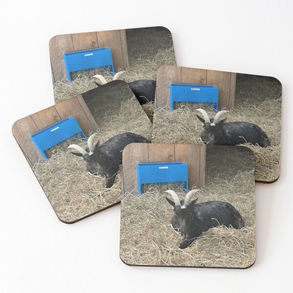 Item preview, Jinks the Goat designed and sold by SamiC06.