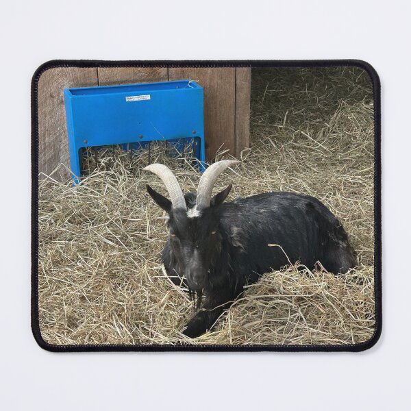 Item preview, Jinks the Goat designed and sold by SamiC06.