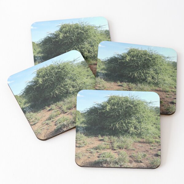 Item preview, A beautiful green shrub in Kajiado Kenya. designed and sold by Jamesk82.