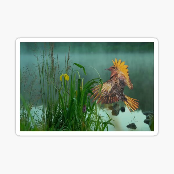 Item preview, A Golden Moment designed and sold by billfox256.