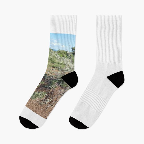Item preview, A beautiful light green shrub in Kajiado Kenya. designed and sold by Jamesk82.