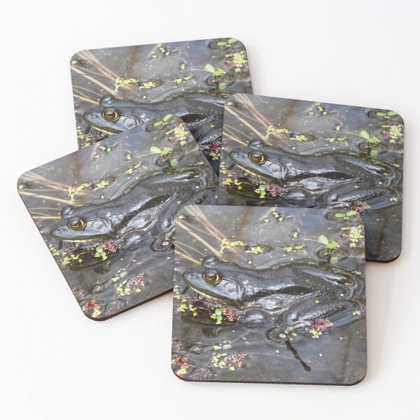 Item preview, Wading designed and sold by Tim Dusenberry.