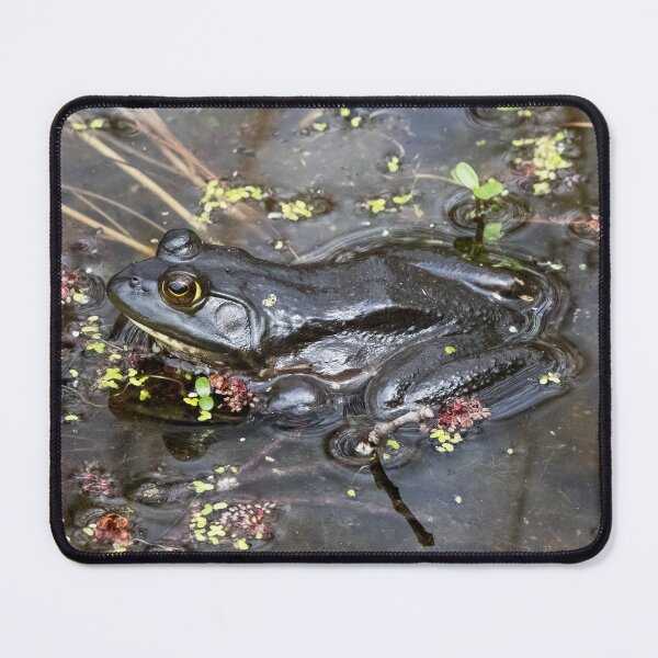Item preview, Wading designed and sold by Tim Dusenberry.
