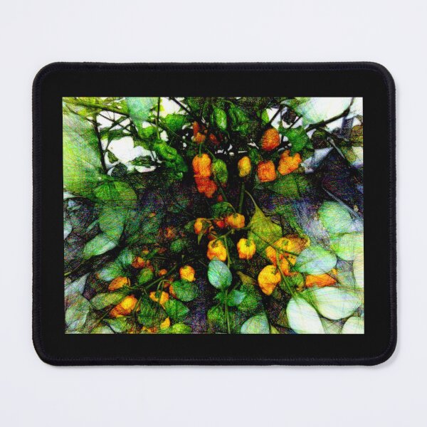 Item preview, Spicy peppers #14 7-pot-primo-yellow-pepper#1 designed and sold by Helios Be. Lavsh.