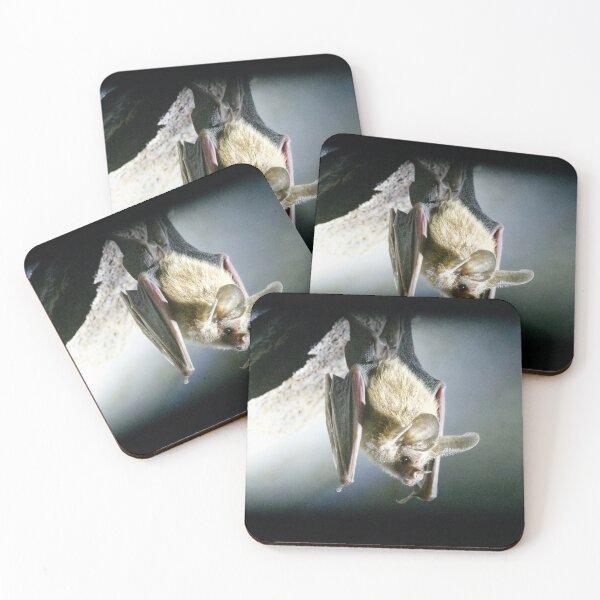 Item preview, Waterhouse's Leaf-nosed Bat designed and sold by EnglandEcology.
