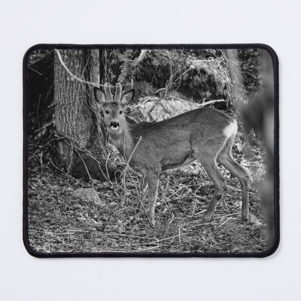 Item preview, Bushlife. Roe deer bw designed and sold by Jouko Lehto Photography.