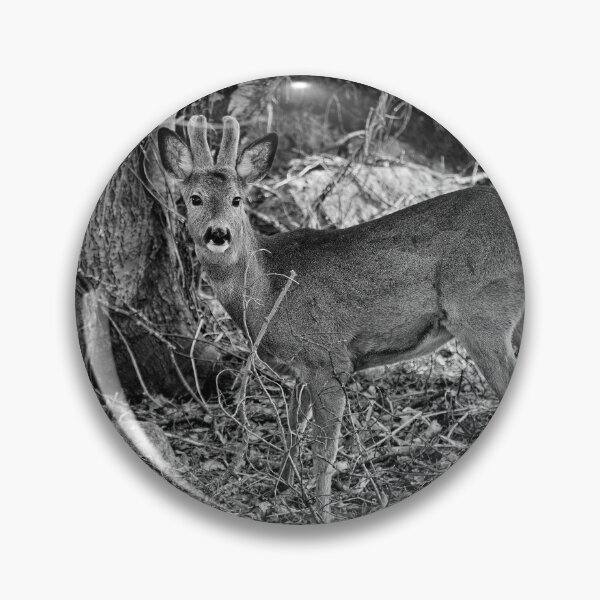 Item preview, Bushlife. Roe deer bw designed and sold by Jouko Lehto Photography.
