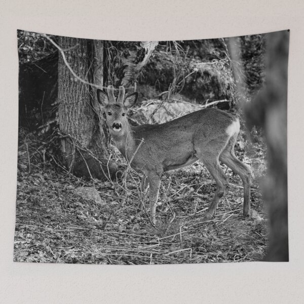 Item preview, Bushlife. Roe deer bw designed and sold by Jouko Lehto Photography.