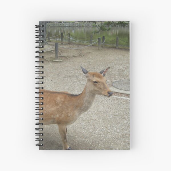Item preview, Deer in Nara Park designed and sold by KaleChub.