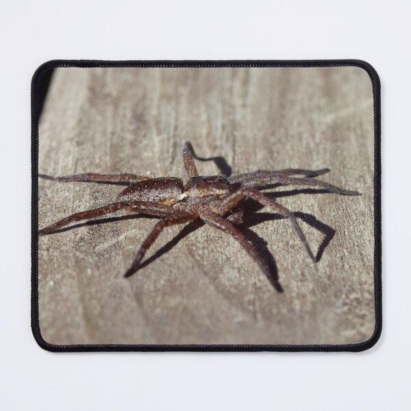 Item preview, Taking some sun. Raft spider designed and sold by Jouko Lehto Photography.
