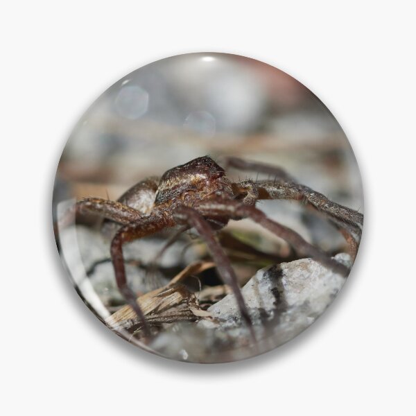 Item preview, The monster of the nightmares. Raft spider designed and sold by Jouko Lehto Photography.
