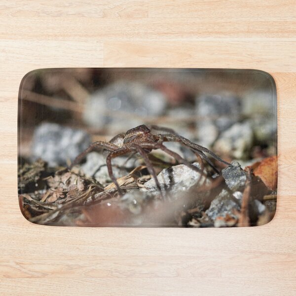Item preview, The monster of the nightmares. Raft spider designed and sold by Jouko Lehto Photography.