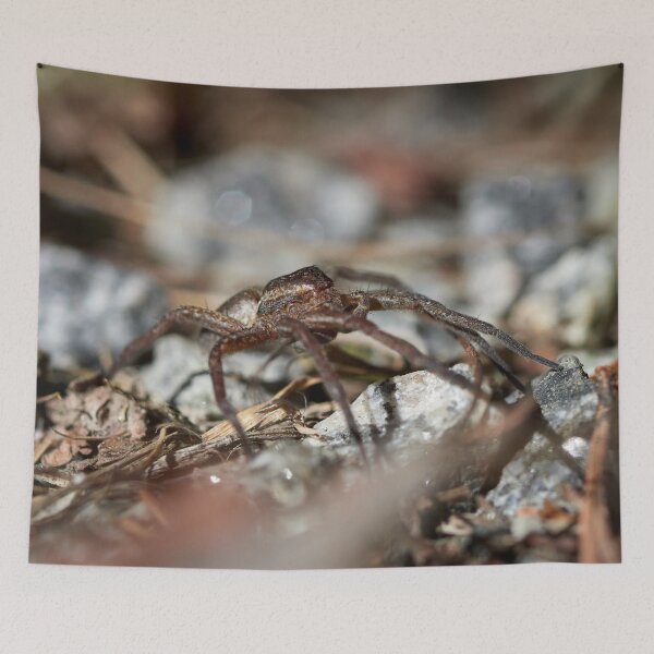 Item preview, The monster of the nightmares. Raft spider designed and sold by Jouko Lehto Photography.