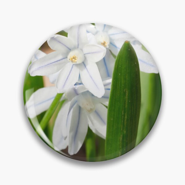 Item preview, Escila rayada blanca y azul designed and sold by Jouko Lehto Photography.