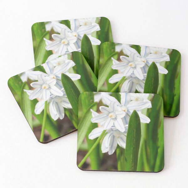 Item preview, Escila rayada blanca y azul designed and sold by Jouko Lehto Photography.