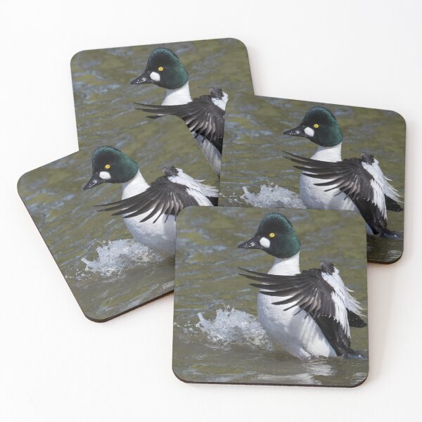 Item preview, Common Goldeneye designed and sold by LaurenTucker.