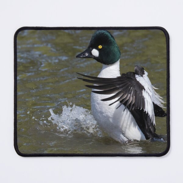 Item preview, Common Goldeneye designed and sold by LaurenTucker.