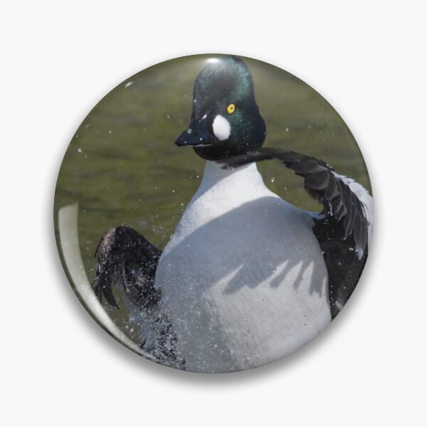 Item preview, Common Goldeneye designed and sold by LaurenTucker.