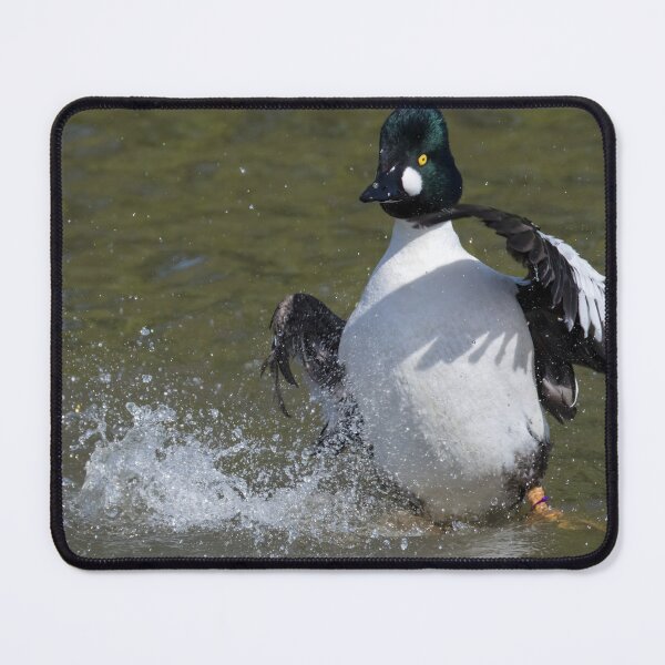 Item preview, Common Goldeneye designed and sold by LaurenTucker.