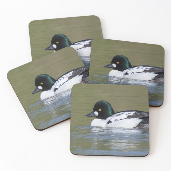 Item preview, Common Goldeneye designed and sold by LaurenTucker.