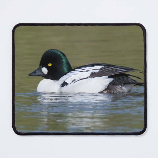 Item preview, Common Goldeneye designed and sold by LaurenTucker.