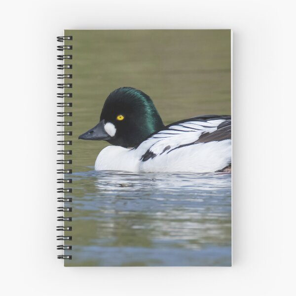 Item preview, Common Goldeneye designed and sold by LaurenTucker.