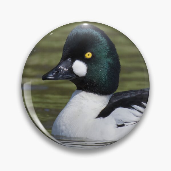 Item preview, Common Goldeneye designed and sold by LaurenTucker.